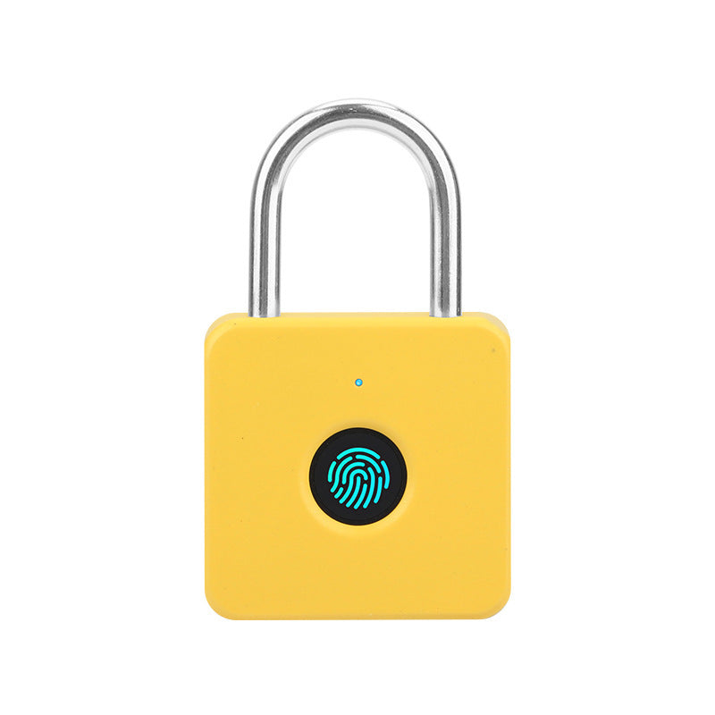 Gym ABS Plastic Smart Lock – PL‑P6 Series